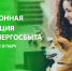 передавать показания через цифровые сервисы АтомЭнергоСбыта – быстро и безопасно - фото - 1 - Краснинский район