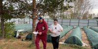 встреча с руководителем ООО «Агро-Терра» - фото - 1 - Краснинский район