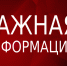 бешенство. Информация, которую нужно знать каждому - фото - 1 - Краснинский район